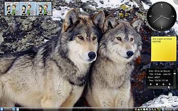 Two Brothers, dog, two, animals, brothers, forrest, wolf, narure HD wallpaper