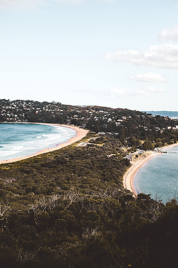 Nature, Sea, Beach, Building, Coast, Forest HD phone wallpaper