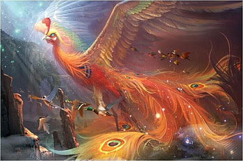 Phoenix, bird, art, gerald patinky, fantast, orange, pasari, fire, duck HD wallpaper
