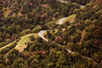 Nature, Trees, View From Above, Road, Hills, Hill HD wallpaper