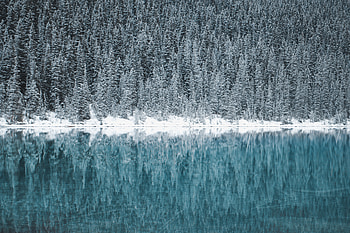 Lake Louise Canada , lake, canada, nature HD wallpaper