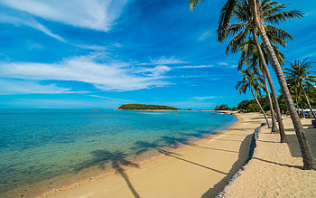 Beautiful tropical beach with coconut trees, Vacation, Blue sky, Clouds, Sea HD wallpaper