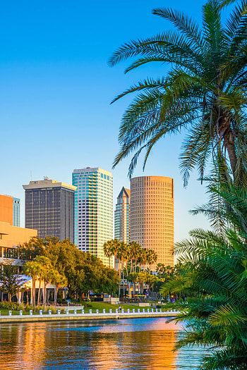 Virtual tour of Tampa, Online exploration, Florida cityscape, Travel from home HD phone wallpaper