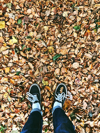 Autumn, Miscellanea, Miscellaneous, Legs, Foliage, Fallen HD phone wallpaper
