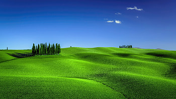 Green Meadows In Tuscany Landscape Scenery , landscape, scenery, green, nature HD wallpaper