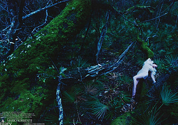 Sanctuary 01, mario sorrenti, w, fashion, guinevere van seenus, w magazine, editorial HD wallpaper