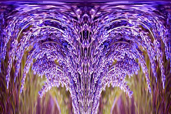 floppy bunch, texture, purple, abstract, lavender HD wallpaper