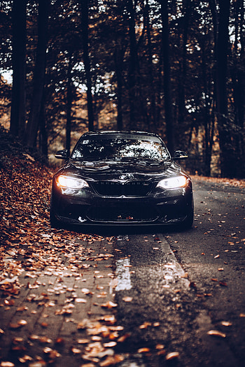Autumn, Bmw, Cars, Car, Front View HD phone wallpaper