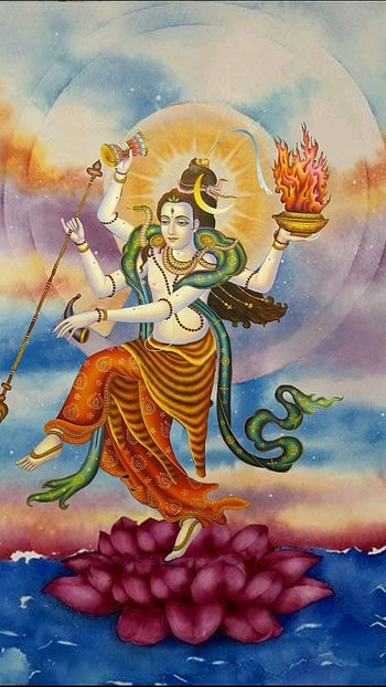 Lord Shiva Live, Mahadev, Tandav HD phone wallpaper