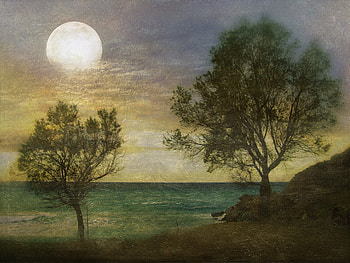Moonlit shore, trees, shore, moon, light HD wallpaper