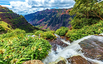 Waimea Canyon, Kauai, Hawaii, landscape, trees, clouds, sky, mountains, usa HD wallpaper