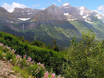 Mountain, trees, sky, flowers HD wallpaper