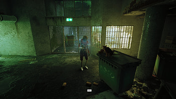 stray 10, video game, Stray HD wallpaper