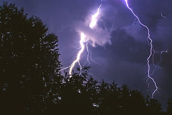 Capture of a powerful lightning storm illuminating the night sky, with silhouettes of trees. HD wallpaper