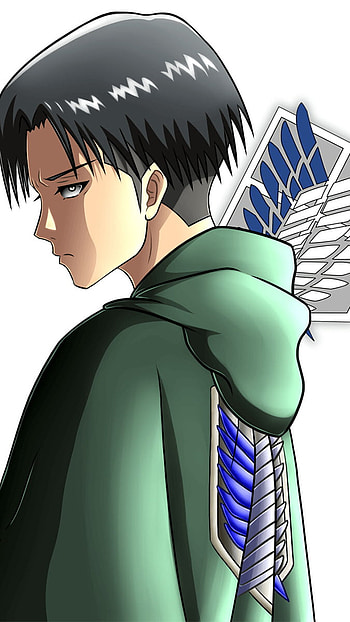 Levi Captain of wings of dom, anime, attack on titan, levi ackerman HD phone wallpaper