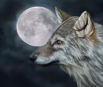 Wolfmoon, artwork, wolf, moon, predator HD wallpaper