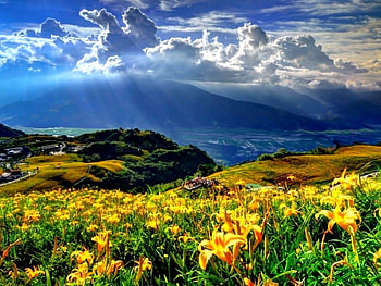 Spring Scenery, Flowers, Nature, Mountains, Spring HD wallpaper