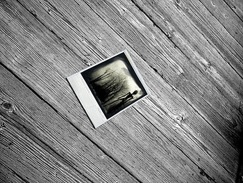 polaroid, , cg, abstract, alien HD wallpaper