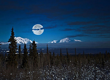 Alaska Night, night, full moon, art , beautiful, dark blue, snow, sky, mountains, forest HD wallpaper