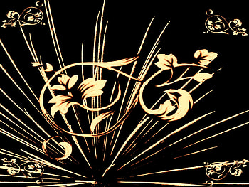 no finish, radius, shadow, abstract, flower HD wallpaper
