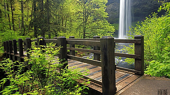 Nature, Grass, Waterfall, Bridge HD wallpaper