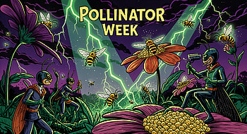 Pollinator Week Ultra – Celebrating Nature’s Vital Heroes, bees, flower, lightning HD wallpaper