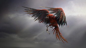 Parrot Aldain, artist, artwork, digital-art, artstation HD wallpaper