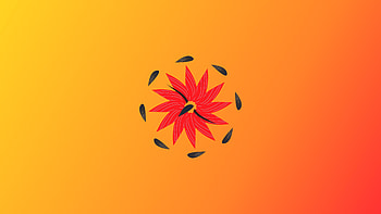 Orange Circle, orange, circle, abstract, artwork, art, digital-art, artist HD wallpaper
