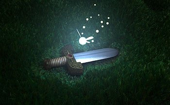 Mini Sword, fairy, sword, zelda, , grass, mini, link, navi HD wallpaper