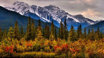 Canadian Rockies, Banff NP, Alberta, leaves, fall, colors, landscape, autumn, clouds, trees, sky HD wallpaper