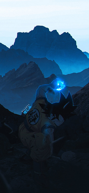 DragonBallZ, dragonball, songoku, vegeta, gohan, goku, dbs, dbgt, dbz HD phone wallpaper