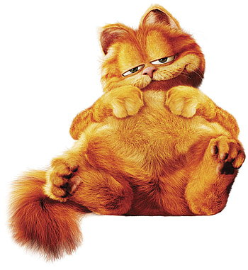 Garfield, Garfield ideas, Whimsical cat, Playful HD phone wallpaper