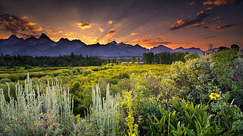Beautiful Scenery, sunset, nature, scenery HD wallpaper