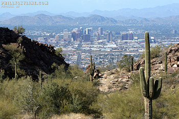 City, Arizona, , Phoenix, Cactus HD wallpaper