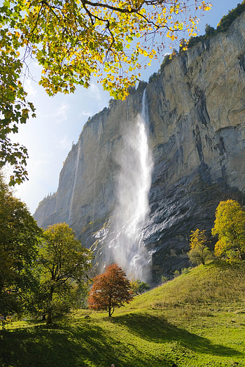 Landscape, Nature, Trees, Rock, Waterfall HD phone wallpaper