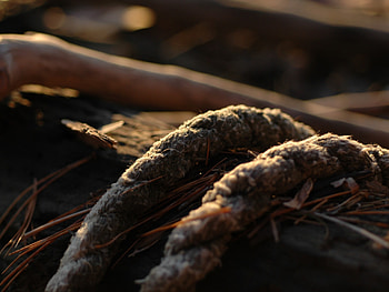Grass, Macro, Mud, Dirt, Rope, Macro graphy HD wallpaper