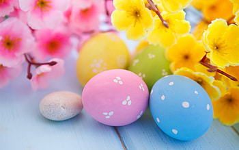 Easter Eggs and Spring Blossoms, easter, eggs, celebrations HD wallpaper