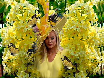 Sunny Yellow 9, dress, hat, colorful, vibrant, Kentucky Derby, butterflies, vivid, green, yellow, bright, bold, flowers HD wallpaper