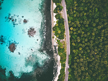 Aerial view, road, coast, trees, nature HD wallpaper