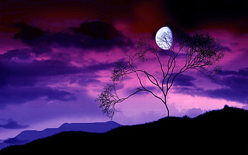 Landscape, Night HD wallpaper