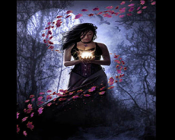 Autumn Witch, Leaves, Moon, Woman, Magic, Crows, Woods HD wallpaper