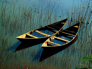 two boats, weeds, summer, boating, boats, row, grass, lake HD wallpaper