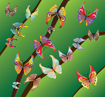 BEAUTIFUL BUTTERFLIES, butterflies, style, vector, animals HD wallpaper