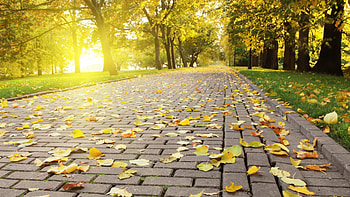 BEAUTIFUL WAY, 3d, , cool, , nature, amazing, nice HD wallpaper