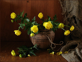 still life, bouquet, ceramic, graphy, vase, beautiful, nice, old, brown, flower, yellow, cool, flowers, , harmony HD wallpaper