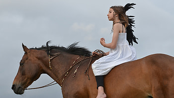 Horse girl blond girls, horse, Equitation, Beautiful horses HD wallpaper