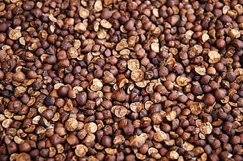 Food, Background, Texture, Buckwheat HD wallpaper