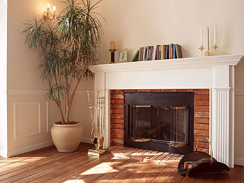 Plants, Flowers, Books, Miscellanea, Miscellaneous, Coziness, Comfort, Fireplace HD wallpaper