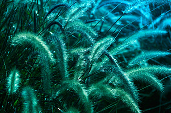 Magical Teal, blue, Teal, green, Magical HD wallpaper