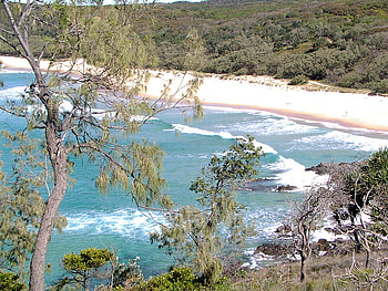 Sunshine Beach Sunshine Coast, sunshine, noosa, coast, beach HD wallpaper